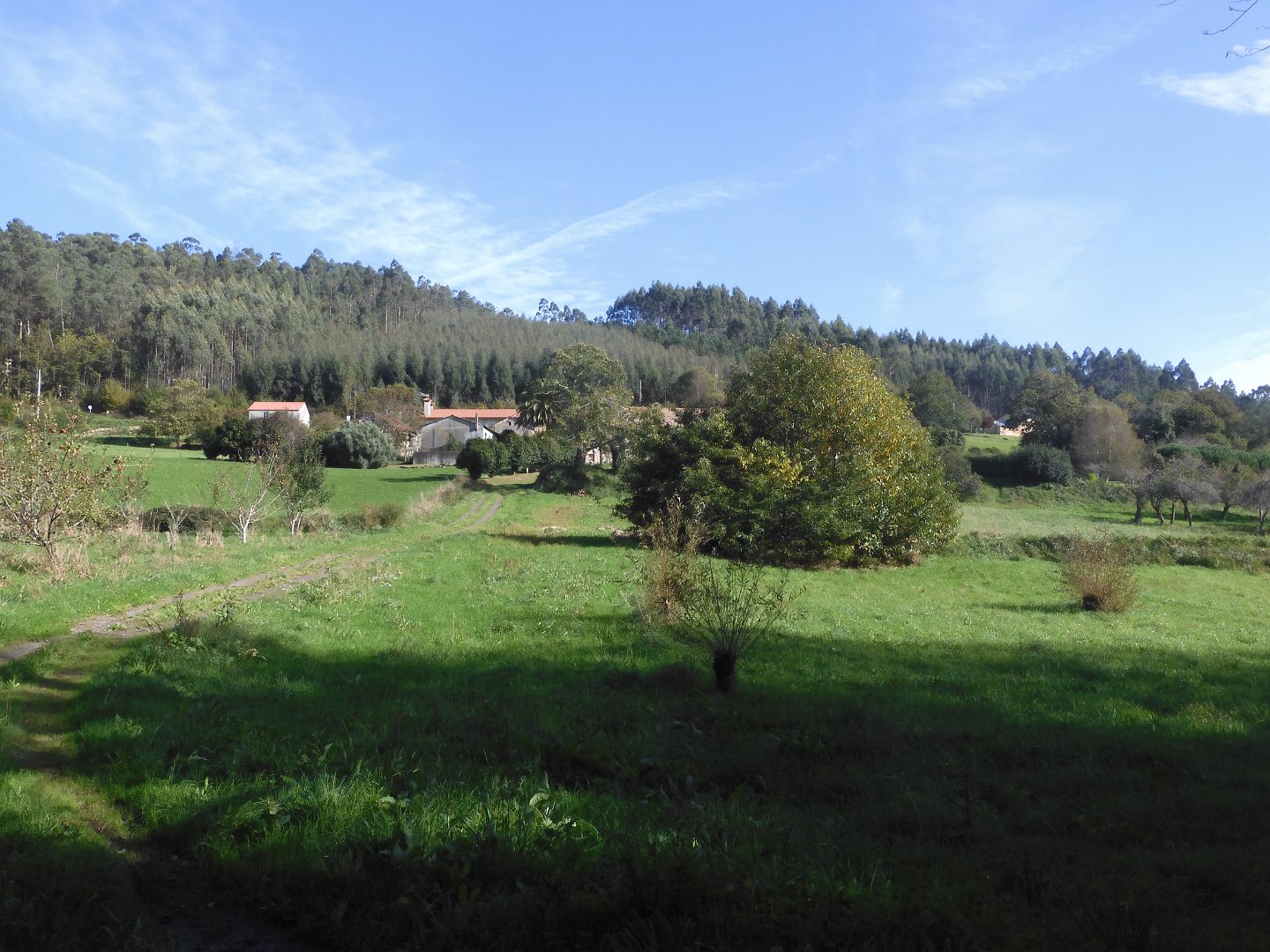 DSCN8112_2479